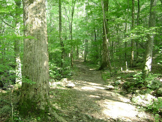 WhiteOak Falls - Shenandoah National Park