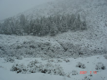 vacaciones invierno 2007