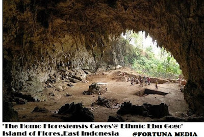 <img src=https://fazryan87.blogspot.com".jpg" alt="The Mystery of 'The Homo Floresiensis Ebu Gogo' from Flores Island, East Nusa Tenggara Indonesia [2-End]">