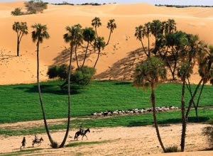 Gurun Sahara Menghijau