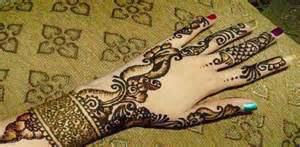 Bio Amazing.Bridal Mehndi Design