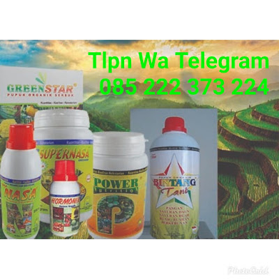 distributor pengadaan pupuk organik cair hayati di kota pagar alam