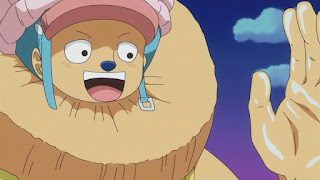 ワンピースアニメ チョッパー ヘビーポイント Tony Tony Chopper Heavy point