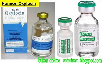 Bukan doktor veterinar: Asas Perubatan Veterinar