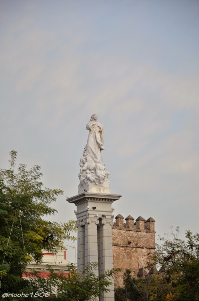 * Actos puente Inmaculada