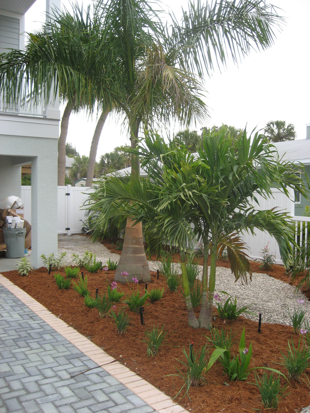 Landscaping with Palm Trees