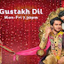 Gustakh Dil - 17 December 2014 Episode Video With Written Update 