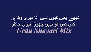 Bewafa poetry, تجھے یقین کیوں نہیں, Bewafa shayari