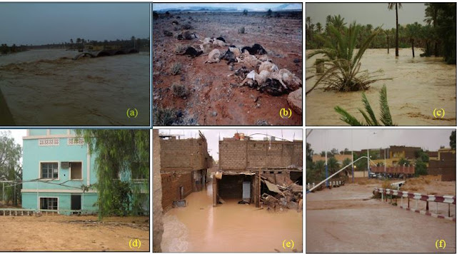 Flood risk assessment in Saharan regions. A case study (Bechar region, Algeria)