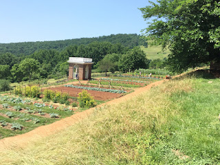 Thomas Jefferson's Garden Arial View