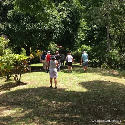 tour at Tobago Cocoa Estate in Rosborough, Tobago