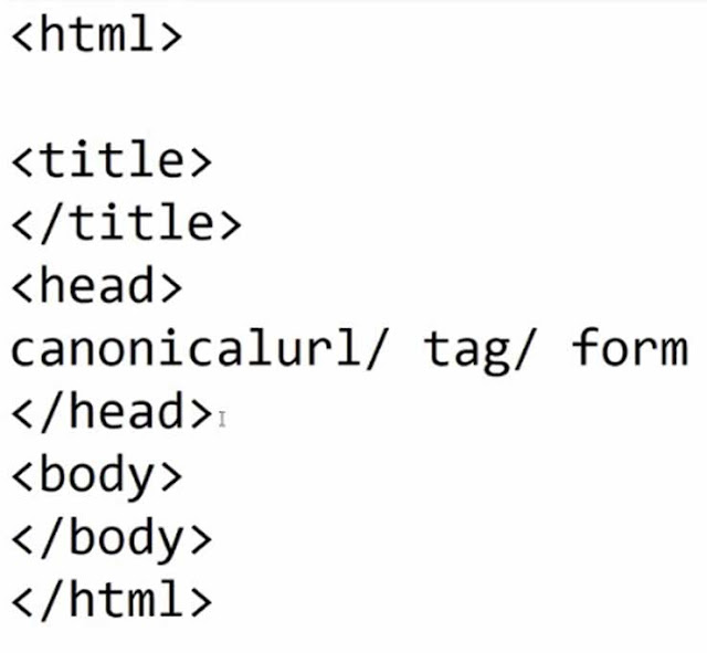 Canonical tag insertion in website