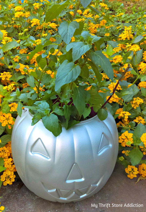 Repurposed Plastic  Pumpkin  Planter  Fall Dollar Store Craft  