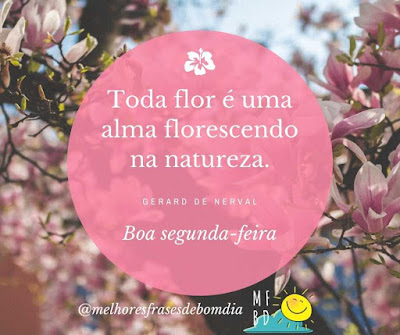 Toda flor é uma alma florescendo na natureza.  Boa segunda-feira.