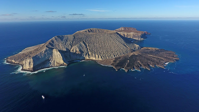 Archipiélago de Revillagigedo se convierte en un parque nacional