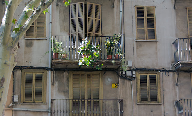 Cozy streets of the city of Palma (photo_10)