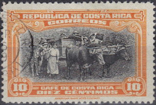 Costa Rica - 1945 - Coffee Harvesting 