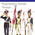 Télécharger Napoleon's Polish Troops Livre