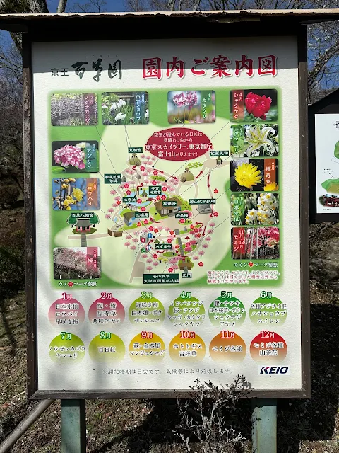 百草園内の案内図