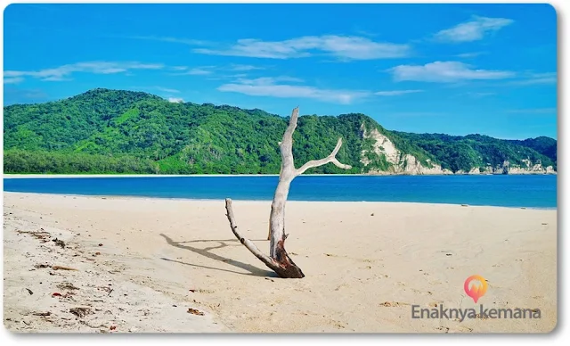 pantai tarimbang sumba