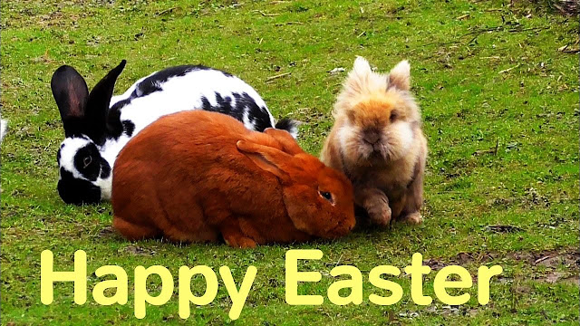 Happy Easter Images 2017