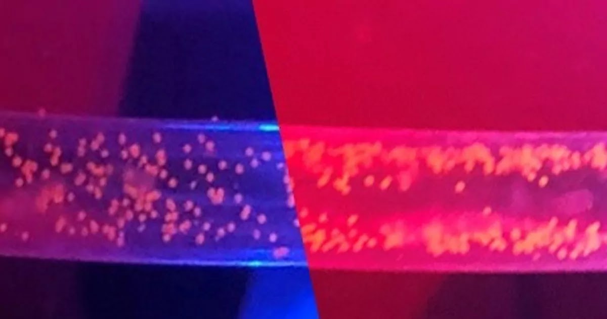 Using Ultrasonic Waves to Remove Microplastics from Waterways