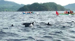 Tempat Wisata Teluk Kiluan