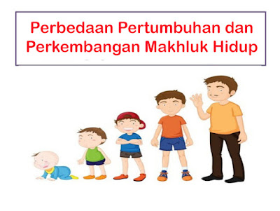 Perbedaan Pertumbuhan dan Perkembangan