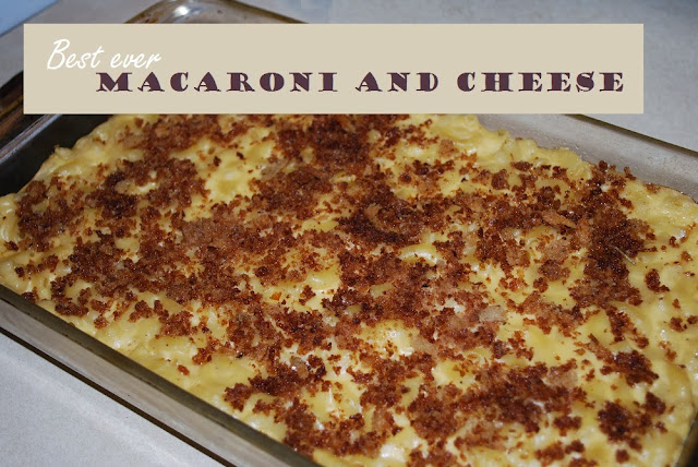 A step-by-step tutorial to make macaroni and cheese from scratch.