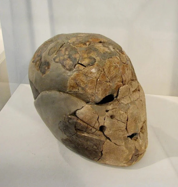 Καλουπωμένο κρανίο από το Beisamoun που βρίσκεται σε Μουσείο της Χάιφα.