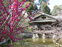 茶室「池中亭」