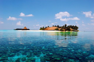 Maldives : The Dream Paradise