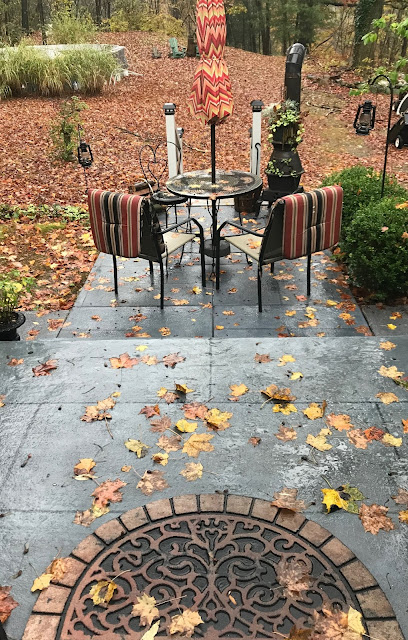 Patio Garden