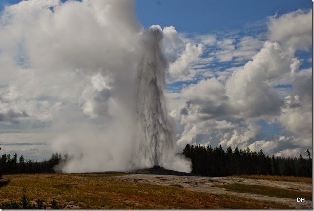 08-08-14 B Yellowstone NP (155)