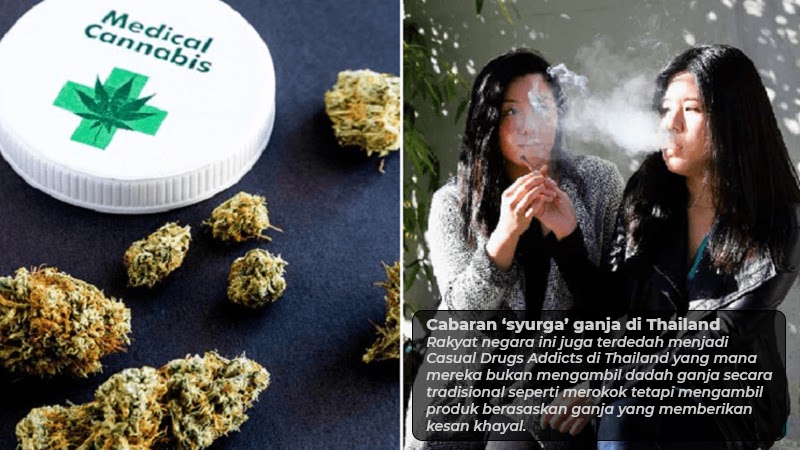 Cabaran ‘syurga’ ganja di Thailand
