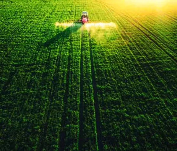 Innovation Technology in Netherlands Agritech Industry