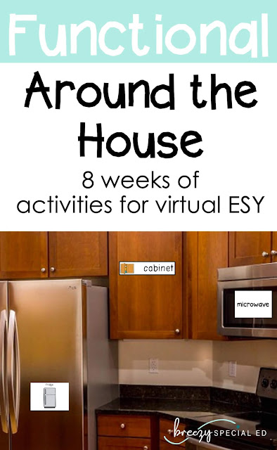 Looking for ideas for your virtual ESY? Extended School Year while distance learning is a perfect time to work on real life vocabulary around the house!