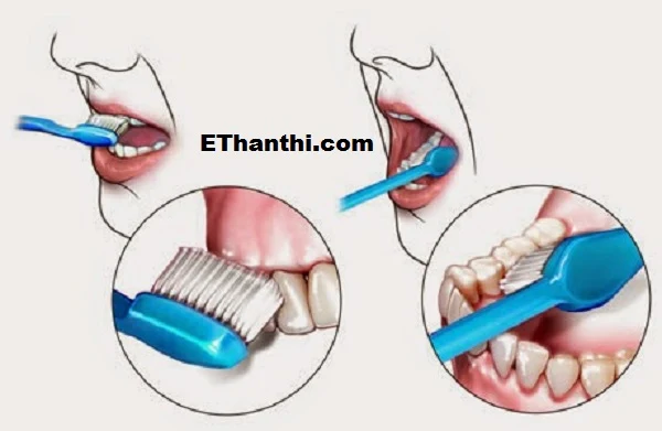 எவ்வளவு நேரம் பல் துலக்கலாம்