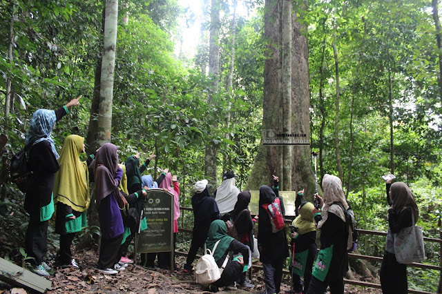 Taman Bukit Tawau TABLE Tempat Menarik Di Sabah