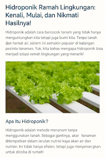 Tanaman selada hijau tumbuh dengan sistem hidroponik ramah lingkungan