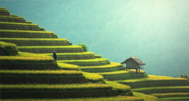 farm-mountainside