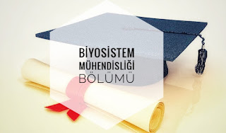 Biyosistem Mühendisliği Bölümü Nedir Ne İş Yapar İmkanları Maaşları