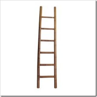 bamboo ladder