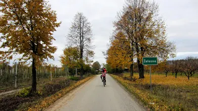 Zdjęcie: