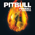 Download Fireball (feat. John Ryan) - Pitbull mp3