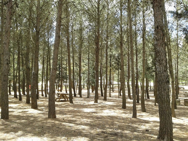 Área de Picnic de la ermita cerca de Manjavacas