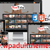 Free TubeCool Tube Adult Responsive WordPress Theme Download