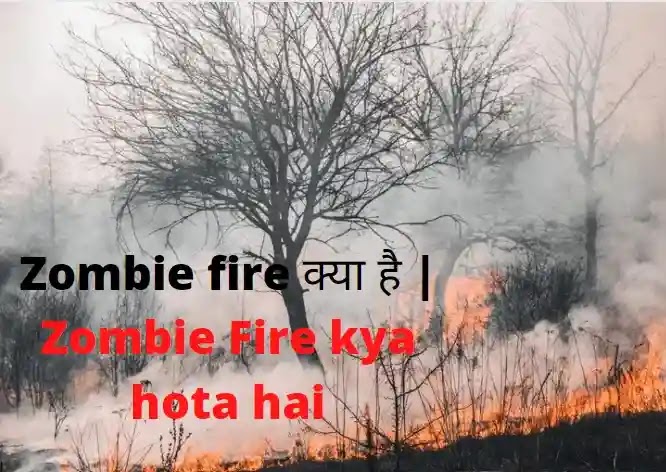 Zombie fire क्या है | Zombie Fire kya hota hai | Divya-Article