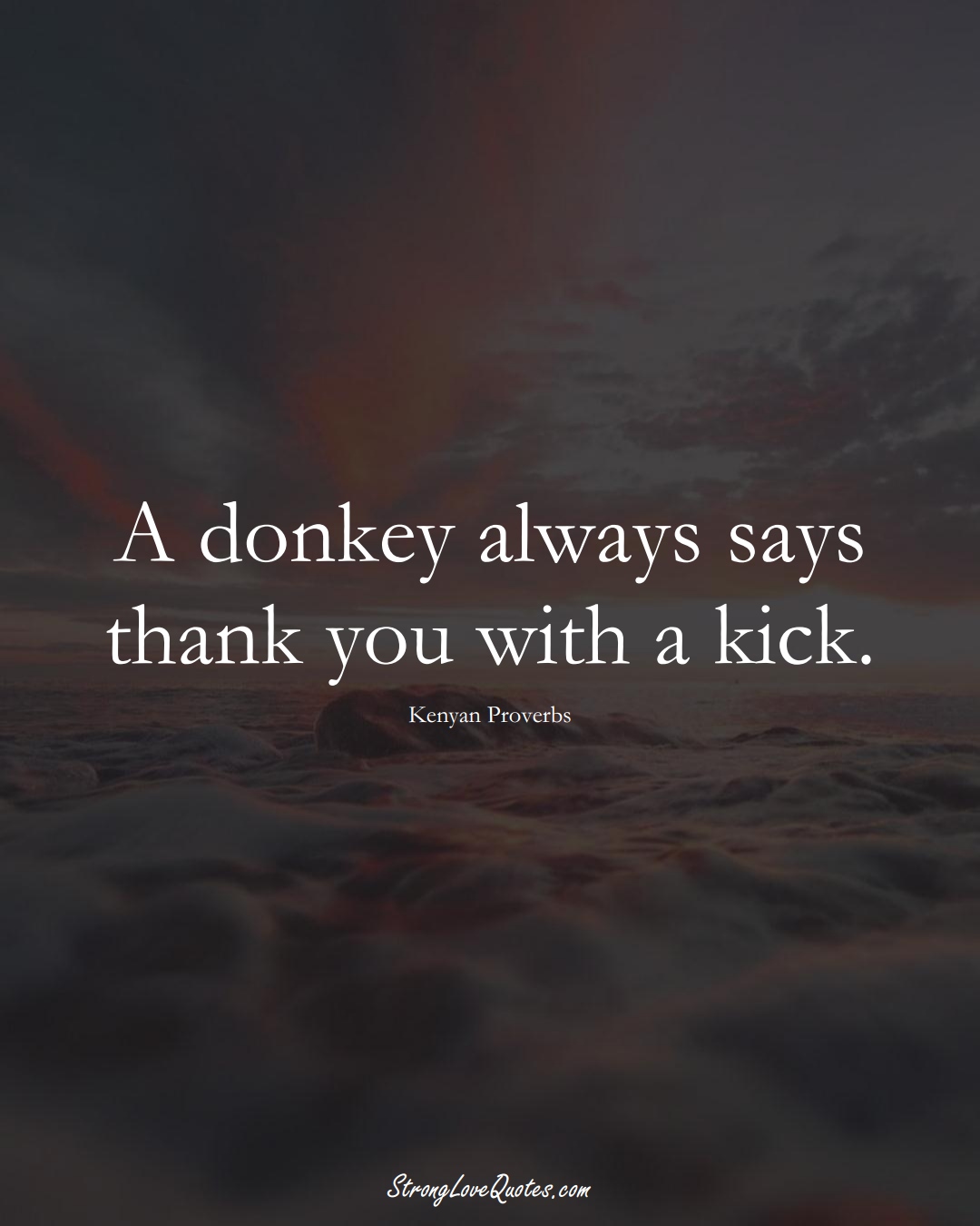 A donkey always says thank you with a kick. (Kenyan Sayings);  #AfricanSayings