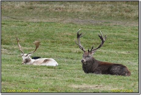 Bradgate Park - October
